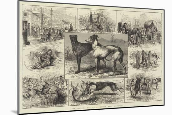 The Coursing Meeting at Altcar, Near Liverpool-null-Mounted Giclee Print