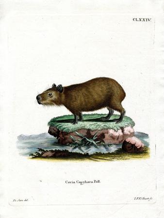 Giclee Print, , small
