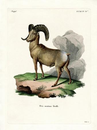 Giclee Print, , small