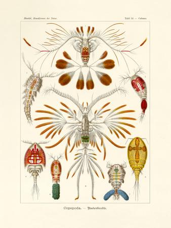 Giclee Print, , small