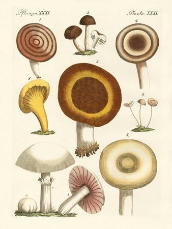 Giclee Print, , small