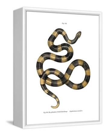 Stretched Canvas Print, , small