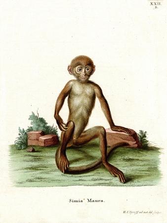 Giclee Print, , small
