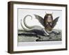 Harpy, Monster Found on Shores of Lake Fagua in Chile, 1784, Print-null-Framed Giclee Print