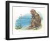 Barbary Macaque Macaca Sylvanus with a Young-null-Framed Giclee Print