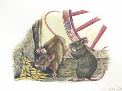 Giclee Print, , small