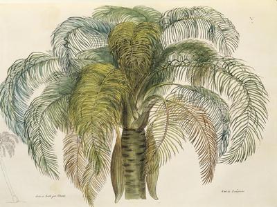 Giclee Print, , small