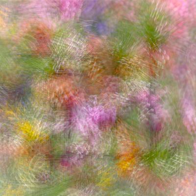 Photographic Print, , small