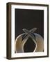 Gannet breeding pair during courtship ritual, Saltee Islands-Andrew Parkinson-Framed Photographic Print