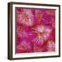 Pink Palm Fronds Pattern-Bee Sturgis-Framed Art Print