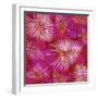 Pink Palm Fronds Pattern-Bee Sturgis-Framed Art Print