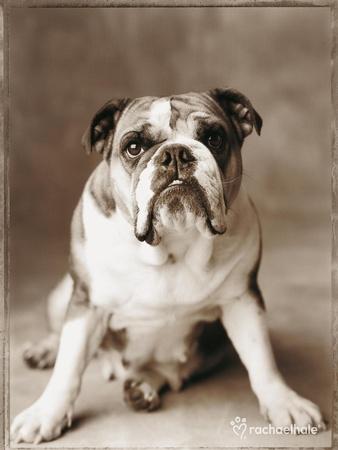 Photographic Print, , small