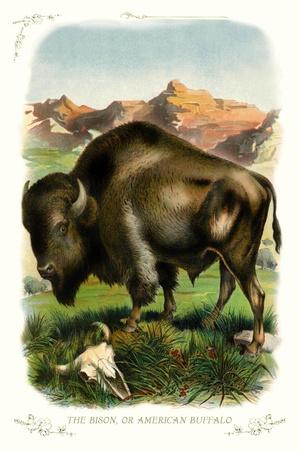 Art Print, , small