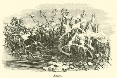 Giclee Print, , small