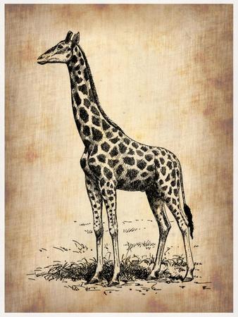 Art Print, , small