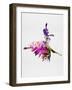 Ballerina on Stage Watercolor 4-Irina March-Framed Art Print