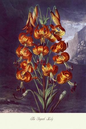 Art Print, , small