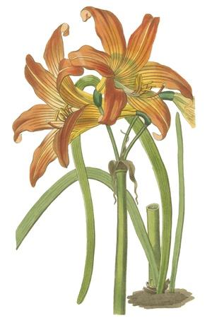 Art Print, , small
