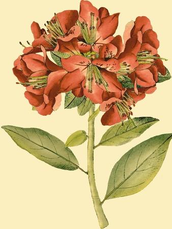Art Print, , small