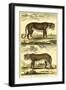 Diderot's Panther and Leopard-Denis Diderot-Framed Art Print