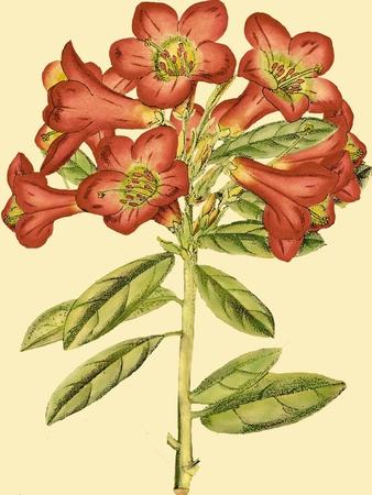 Art Print, , small