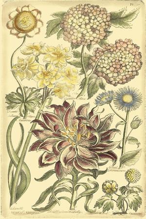 Art Print, , small