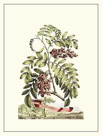 Art Print, , small