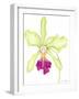 Orchid Beauty III-Jennifer Goldberger-Framed Art Print