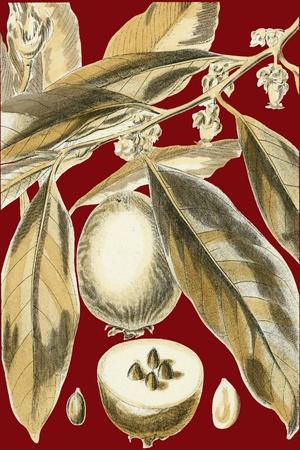Art Print, , small