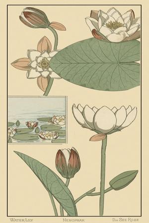 Art Print, , small