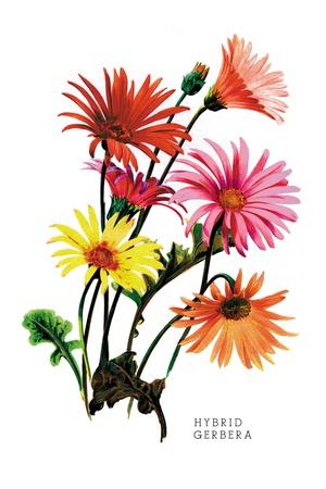 Art Print, , small