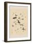 Butterflies-null-Framed Art Print