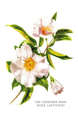 Art Print, , small