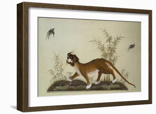 An Embroidered Panel of a Tiger Chasing Small Birds Among Bamboo, in Shades of Green & Brown Silks-null-Framed Giclee Print