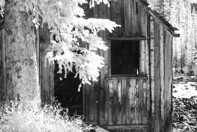 Photographic Print, , small