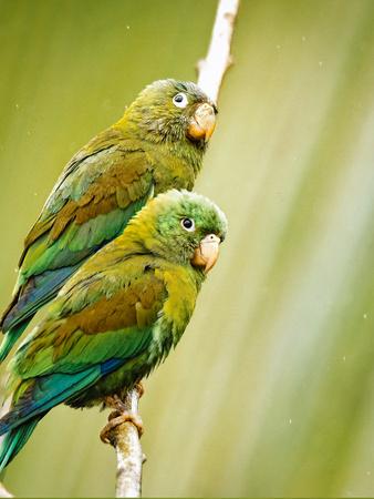 Photographic Print, , small