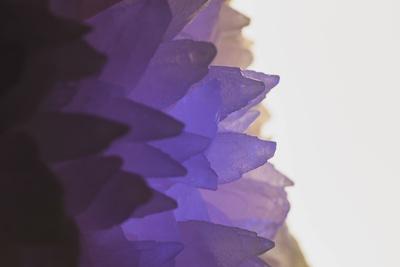 Photographic Print, , small