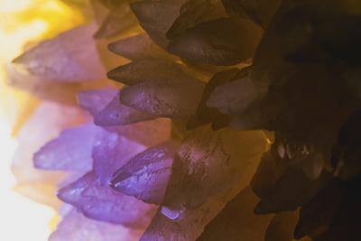 Photographic Print, , small