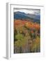 USA, New Hampshire, New England Fall colors on hillsides along highway 16 north of Jackson-Sylvia Gulin-Framed Photographic Print