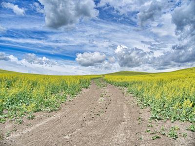 Photographic Print, , small