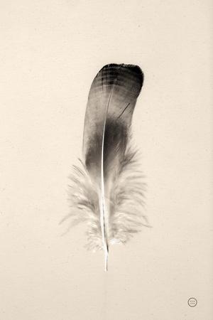 Photographic Print, , small