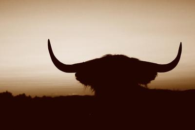 Photographic Print, , small