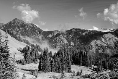 Photographic Print, , small