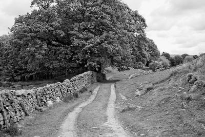 Photographic Print, , small