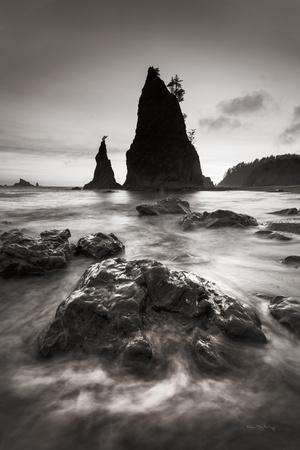 Photographic Print, , small