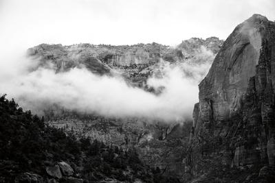 Photographic Print, , small