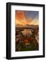 Epic Lake Merritt, Oakland in Autumn, Sky Fire and Fall Color-Vincent James-Framed Photographic Print