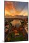 Epic Lake Merritt, Oakland in Autumn, Sky Fire and Fall Color-Vincent James-Mounted Photographic Print