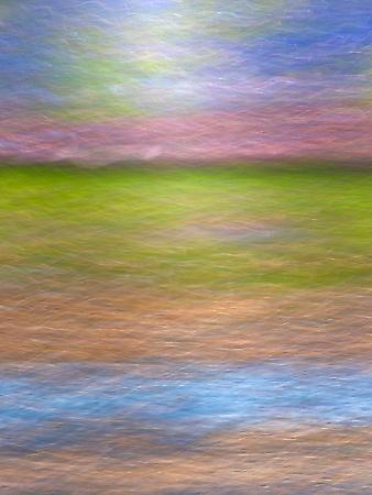 Photographic Print, , small