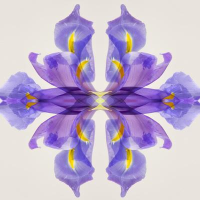 Photographic Print, , small